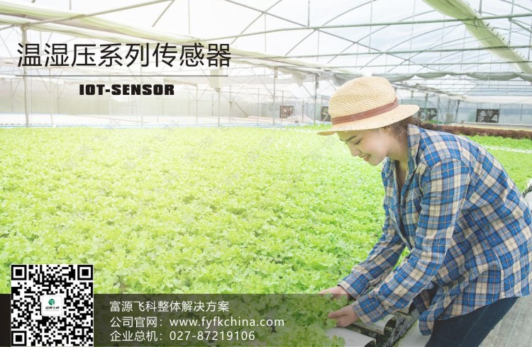 物聯網傳感器-溫濕壓系列解決方案